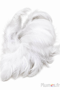 Hen -  5-9 cm - wit